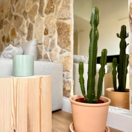 Superbe Maison - Bain Chaud Ou Froid & Cinema - Cap D'agde Casa de Férias *